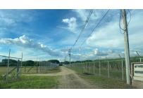 Lotes, Venta, Palmira - $320.000.000