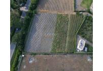 Lotes, Venta, Palmira - $2.130.000.000
