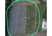 Lotes, Venta, Palmira - $2.130.000.000