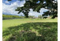Lotes, Venta, Ginebra - $980.000.000
