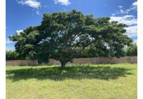 Lotes, Venta, Ginebra - $980.000.000