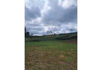 Lotes, Venta, Calima (Darién) - $810.000.000