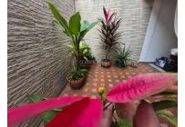 Casas, Venta, La Hacienda - $530.000.000