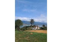 Lotes, Venta, Calima (Darién) - $810.000.000