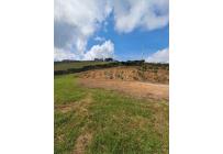 Lotes, Venta, Calima (Darién) - $810.000.000