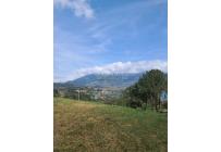 Lotes, Venta, Calima (Darién) - $810.000.000