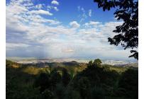 Fincas y Casas Campestres, Venta, Montebello - $2.600.000.000
