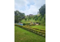 Fincas y Casas Campestres, Venta, Montebello - $2.600.000.000