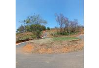 Lotes, Venta, Palmira - $425.000.000