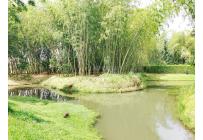 Lotes, Venta, Jamundí - $380.000.000