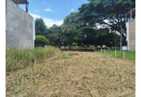 Lotes, Venta, Palmira - $210.000.000