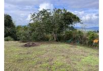 Lotes, Venta, Dagua - $395.000.000