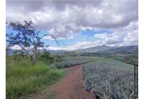 Lotes, Venta, Dagua - $57.000.000