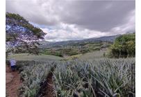 Lotes, Venta, Dagua - $57.000.000