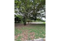 Apartamentos, Venta, Ciudad Bochalema - $218.000.000