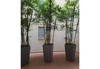 Apartamentos, Venta, Valle del Lili - $220.000.000