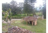 Lotes, Alquiler, Arbelaez - $283.880.000