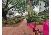Apartamentos, Venta, Multicentro - $380.000.000