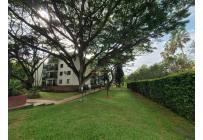 Apartamentos, Venta, Multicentro - $380.000.000