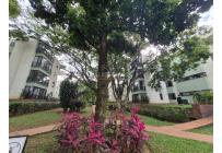 Apartamentos, Venta, Multicentro - $380.000.000