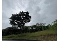 Lotes, Venta, Pance - $1.000.000.000