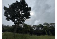 Lotes, Venta, Pance - $1.000.000.000