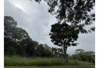 Lotes, Venta, Pance - $1.000.000.000