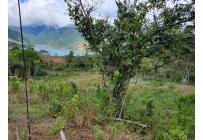 Lotes, Venta, Calima (Darién) - $645.840.000