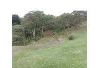 Fincas y Casas Campestres, Venta, Dagua - $1.875.060.182