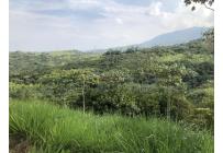 Lotes, Venta, Pance - $1.200.000.000