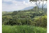 Lotes, Venta, Pance - $1.200.000.000