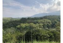 Lotes, Venta, Pance - $1.200.000.000