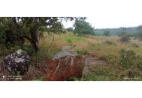 Lotes, Venta, Pance - $850.000.000