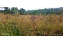 Lotes, Venta, Pance - $850.000.000