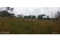 Lotes, Venta, Pance - $850.000.000