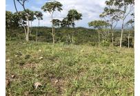 Lotes, Venta, Pance - $870.000.000