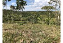 Lotes, Venta, Pance - $870.000.000