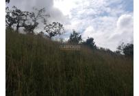 Lotes, Venta, Pance - $890.000.000