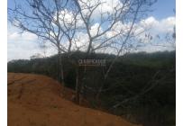 Lotes, Venta, Pance - $1.100.000.000