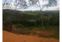 Lotes, Venta, Pance - $1.100.000.000