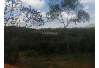 Lotes, Venta, Pance - $1.100.000.000