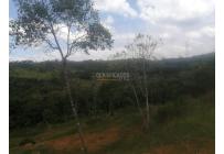 Lotes, Venta, Pance - $1.100.000.000