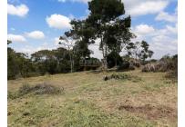 Lotes, Venta, Pance - $960.000.000