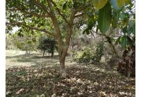 Lotes, Venta, Pance - $960.000.000