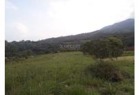 Lotes, Venta, Pance - $890.000.000