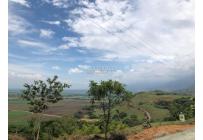 Lotes, Venta, Palmira - $400.000.000