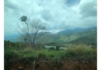 Lotes, Venta, Palmira - $400.000.000