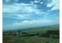 Lotes, Venta, Palmira - $400.000.000