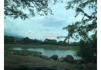 Lotes, Venta, Palmira - $400.000.000