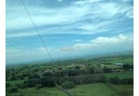 Lotes, Venta, Palmira - $400.000.000